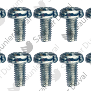 Vis  (x10)  -  Saunier  Duval  -  ref  0010026078