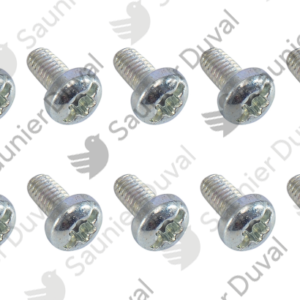 Vis  (x10)  -  Saunier  Duval  -  ref  0010026326