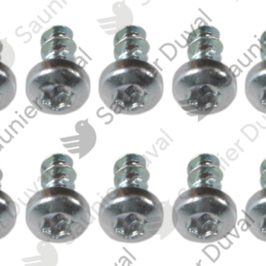 Vis  (x10)  -  Saunier  Duval  -  ref  0010027152