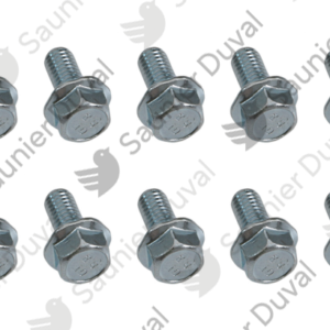 Vis  (x10)  -  Saunier  Duval  -  ref  0010033673