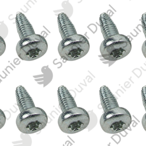 Vis  (x10)  -  Saunier  Duval  -  ref  0010036492