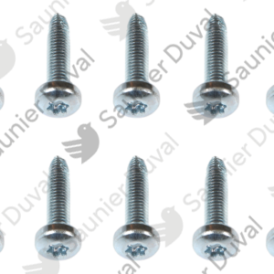 Vis  (x10)  -  Saunier  Duval  -  ref  0010036511