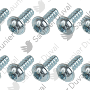 Vis  (x10)  -  Saunier  Duval  -  ref  0010046086