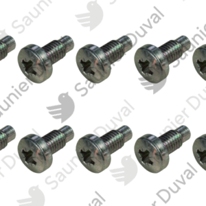 Vis  (x10)  -  Saunier  Duval  -  ref  0020018435