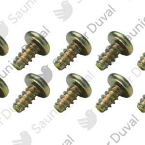 Vis  (x10)  -  Saunier  Duval  -  ref  0020047013