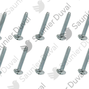 Vis  (x10)  -  Saunier  Duval  -  ref  0020047015