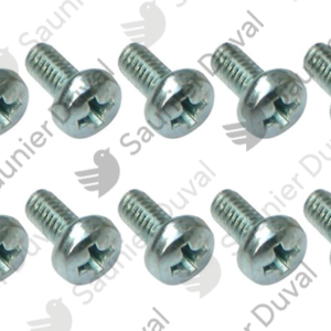 Vis  (x10)  -  Saunier  Duval  -  ref  0020050108