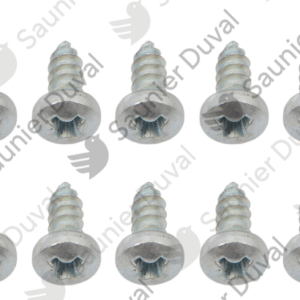 Vis  (x10)  -  Saunier  Duval  -  ref  0020051331