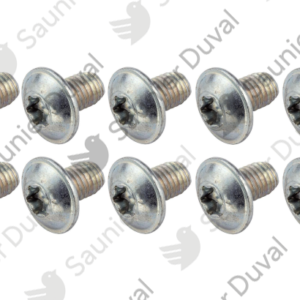 Vis  (x10)  -  Saunier  Duval  -  ref  0020079430