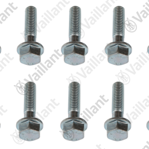 Vis  M8x30  (x10)  -  Vaillant  -  ref  0020081349