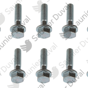 Vis  M8x30  (x10)  -  Saunier  Duval  -  ref  0020094791