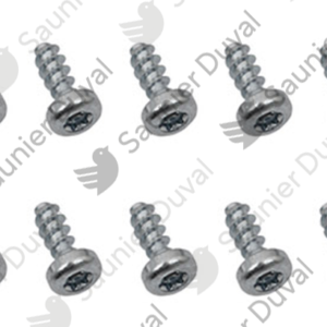 Vis  (x10)  -  Saunier  Duval  -  ref  0020097184