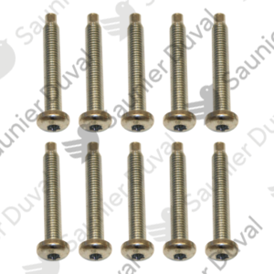 Vis  M5x33  (x10)  -  Saunier  Duval  -  ref  0020097193