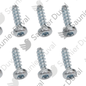 Vis  (x10)  -  Saunier  Duval  -  ref  0020097227