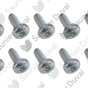 Vis  (x10)  -  Saunier  Duval  -  ref  0020127491