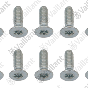Vis  (x10)  -  Vaillant  -  ref  0020143472