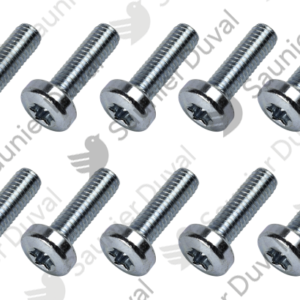 Vis  (x10)  -  Saunier  Duval  -  ref  0020175573