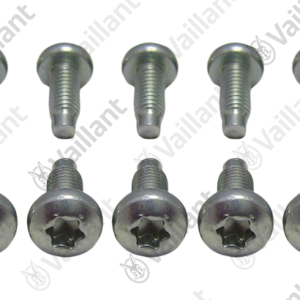Vis  (x10)  -  Vaillant  -  ref  0020195482