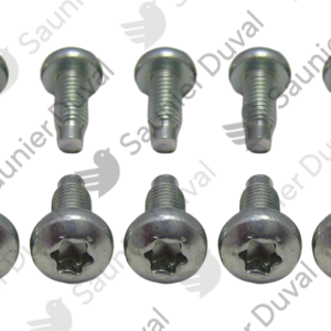 Vis  (x10)  -  Saunier  Duval  -  ref  0020195526