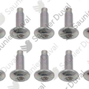 Vis  (x10)  -  Saunier  Duval  -  ref  0020195527