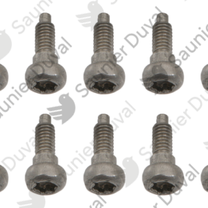 Vis  (x10)  -  Saunier  Duval  -  ref  0020195532