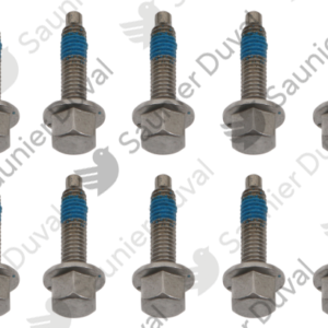 Vis  (x10)  -  Saunier  Duval  -  ref  0020195533