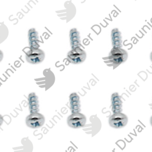 Vis  (x10)  -  Saunier  Duval  -  ref  0020198287