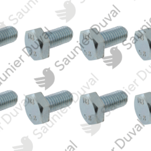 Vis  de  bride  (x8)  -  Saunier  Duval  -  ref  0020198387