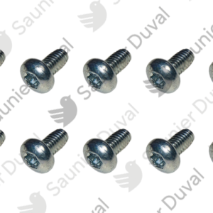 Vis  (x10)  -  Saunier  Duval  -  ref  0020198472