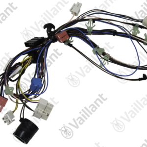 Faisceau  -  Vaillant  -  ref  0020200715