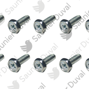 Vis  (x10)  -  Saunier  Duval  -  ref  0020205930