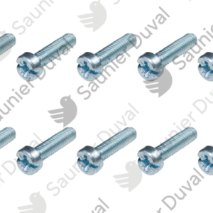 Vis  (x10)  -  Saunier  Duval  -  ref  0020205984