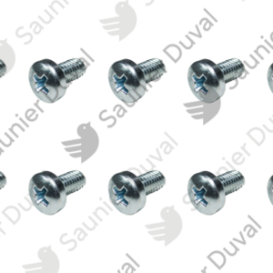 Vis  (x10)  -  Saunier  Duval  -  ref  0020206004