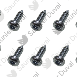 Vis  (x10)  -  Saunier  Duval  -  ref  0020210127