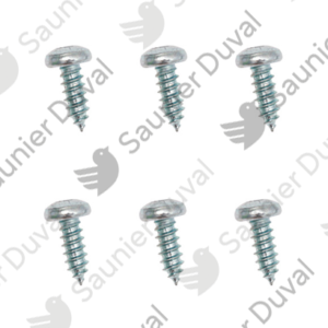 Vis  (x10)  -  Saunier  Duval  -  ref  0020210548