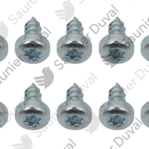 Vis  (x10)  -  Saunier  Duval  -  ref  0020211595