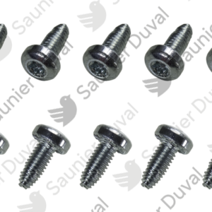 Vis  (x10)  -  Saunier  Duval  -  ref  0020216992