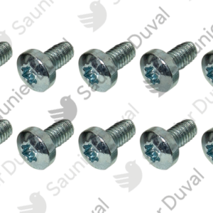 Vis  (x10)  -  Saunier  Duval  -  ref  0020220435