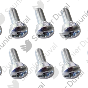 Vis  (x10)  -  Saunier  Duval  -  ref  0020220437