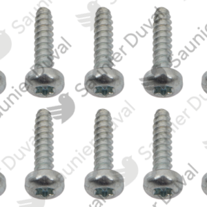 Vis  (x10)  -  Saunier  Duval  -  ref  0020220438