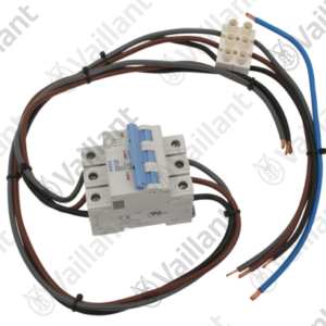 Faisceau  -  Vaillant  -  ref  0020223548