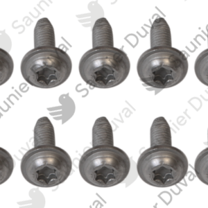 Vis  (x10)  -  Saunier  Duval  -  ref  0020273338