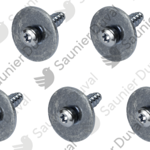 Vis  (x5)  -  Saunier  Duval  -  ref  0020273356