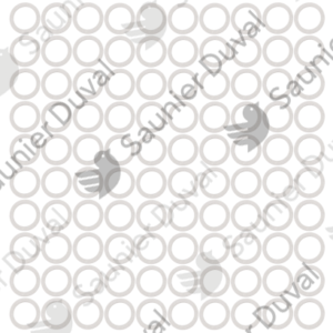 Joint (x100) - Saunier Duval - ref 05406600