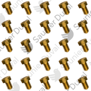 Vis  (x25)  -  Saunier  Duval  -  ref  05421000