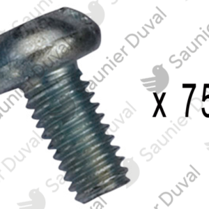 Vis  (x75)  -  Saunier  Duval  -  ref  05424300