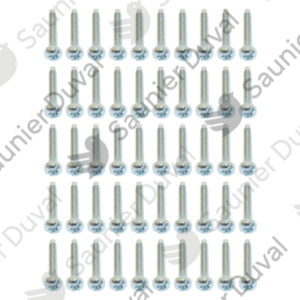 Vis  (x50)  -  Saunier  Duval  -  ref  05454600