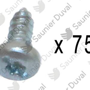 Vis  (x75)  -  Saunier  Duval  -  ref  05455500