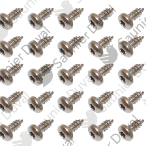 Vis  (x25)  -  Saunier  Duval  -  ref  05456400