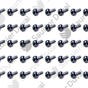 Vis  (x50)  -  Saunier  Duval  -  ref  05480300